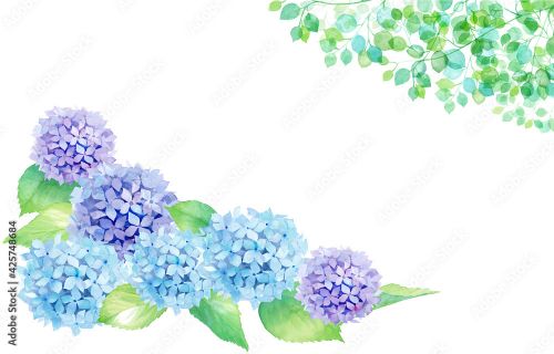 あじさいと新緑の装飾フレーム 水彩イラストのトレースベクター アジサイの花と葉のレイアウト変更可能 Fotobehang