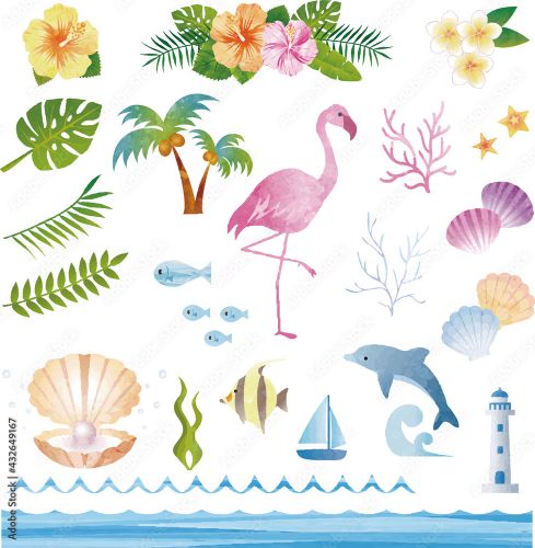 夏 鳥 花 海 貝 自然 南国 トロピカル 水彩 イラスト素材セット Keuken Spatwand