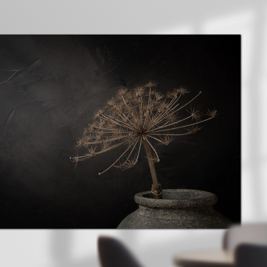 Mayra Pama wanddecoratie