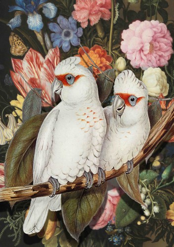 LoveBirds © Marja van den Hurk