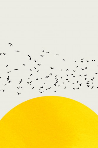 A Thousand Birds © KUBISTIKA