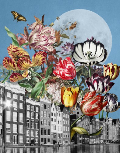 Amsterdam © Marja van den Hurk