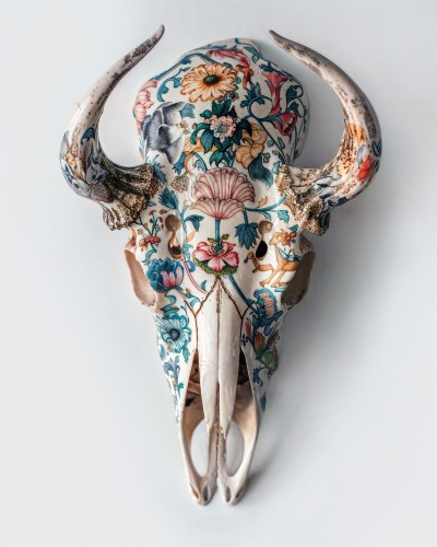 Animal Skull © Charlie Moon