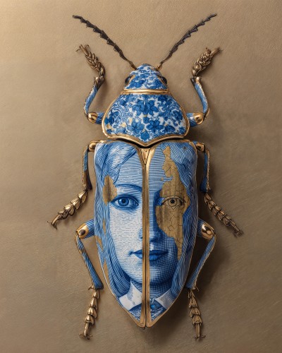 Beetle Face © Charlie Moon