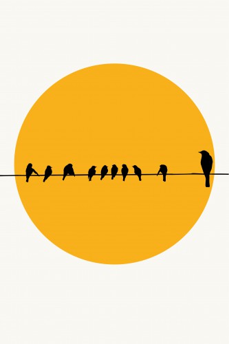 Birds Family © KUBISTIKA