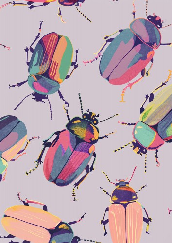 bugs 3 © Liv Jongman