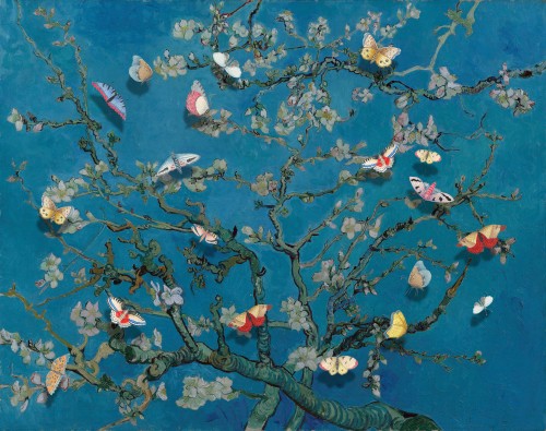 Butterflies on the Almond Blossom
