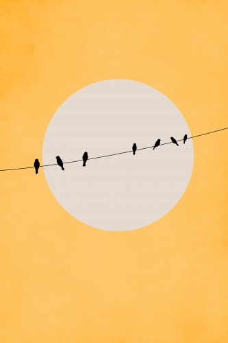 Chirping And Chilling (At Day) © KUBISTIKA