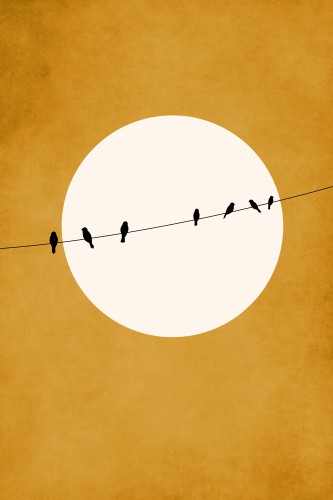 Chirping And Chilling (At Night) © KUBISTIKA