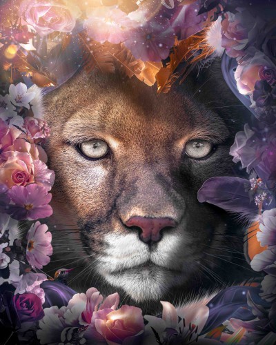 Cougar Floral © Zenzdesign