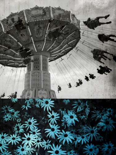 DAISY NIGHTS, VINTAGE FLIGHTS © db Waterman