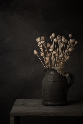 Donker stilleven met gedroogde papaverbollen in stenen kruik_ © Mayra Fotografie