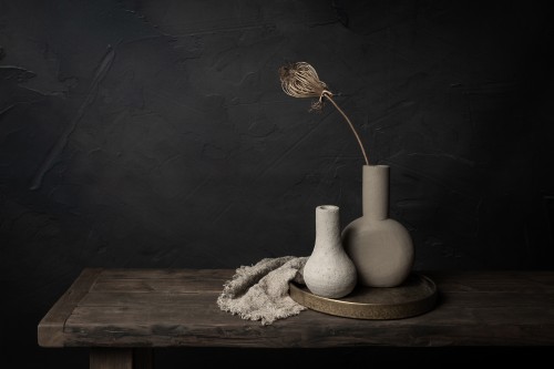 Donker stilleven met gedroogde wilde peen bloem in aardewerk vazen © Mayra Pama