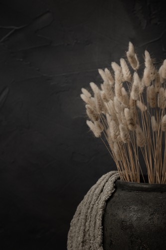 Donker stilleven met hazenstaart droogbloemen in kruik © Mayra Fotografie