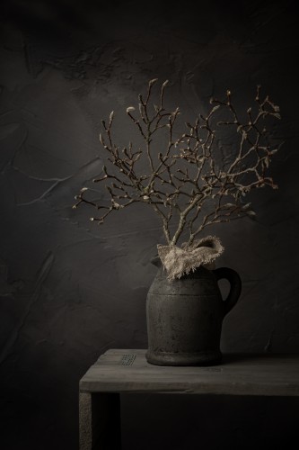 Donker stilleven met magnoliatakken in stenen kruik (verticaal) © Mayra Fotografie