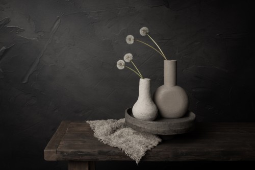 Donker stilleven met pluizenbollen van paardenbloemen in aardewerk vazen © Mayra Pama