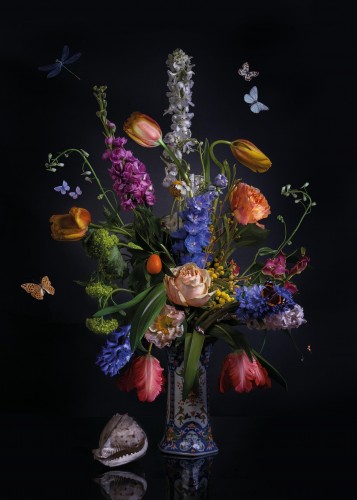 Dutchlove © Sander van Laar