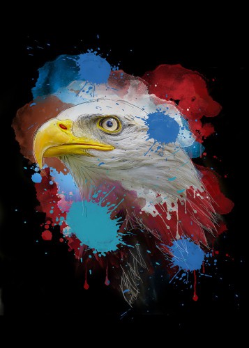 Eagle © De Beeldmeester