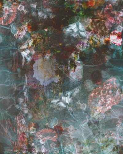 Fleurs de mon rêve © Sander van Laar
