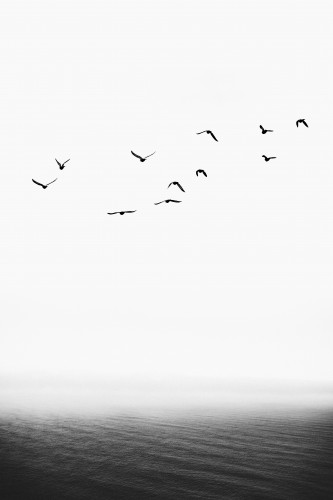 Forever Free © KUBISTIKA