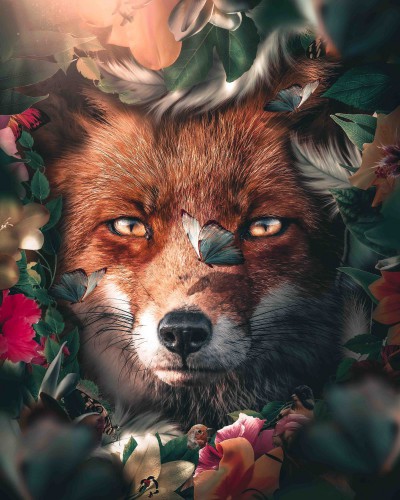 Fox Floral © Zenzdesign