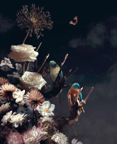 Garden of eden © Sander van Laar