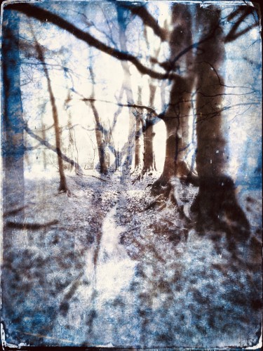 Go with me, somewhere © RAR Kramer