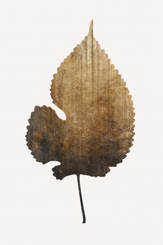 Golden Leaf © KUBISTIKA