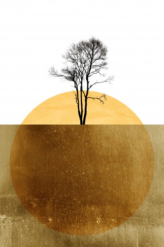 Golden Ocean © KUBISTIKA