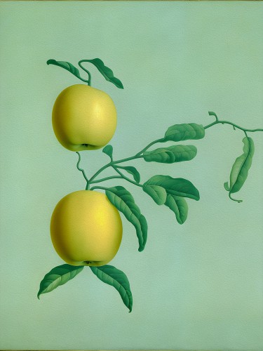 Green Apples © Artclaud
