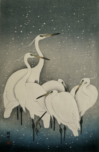 Group of Egrets, Ohara Koson, 1925 - 1936