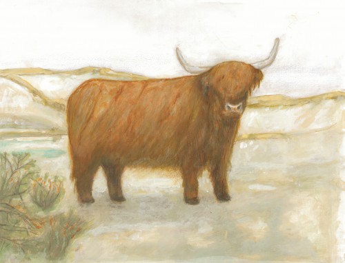 Hooglander © Tanja Koelemij