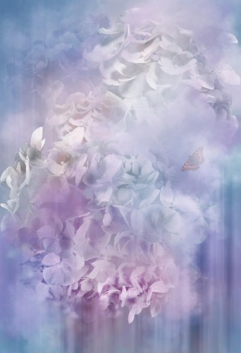 Hortensia Heaven © Sander van Laar