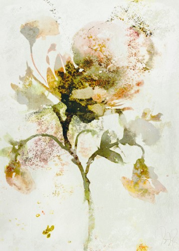 How to become a butterfly © RAR Kramer