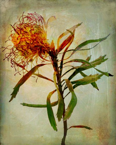 Imagination © RAR Kramer