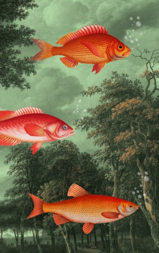 It's The Season of Flying Fish © Marja van den Hurk