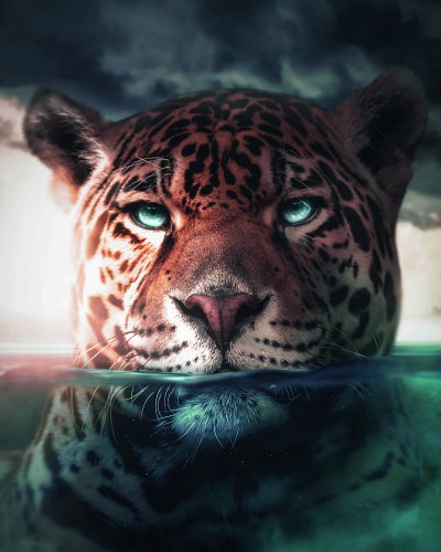 Jaguar Underwater © Zenzdesign