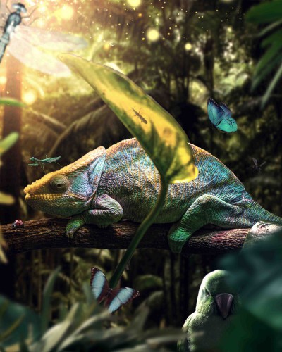 Jungle Party © Zenzdesign