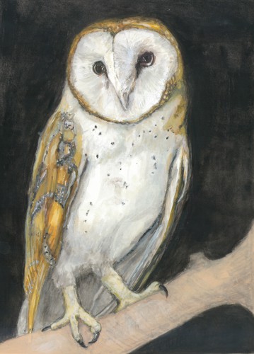 Kerkuil 1 © Tanja Koelemij