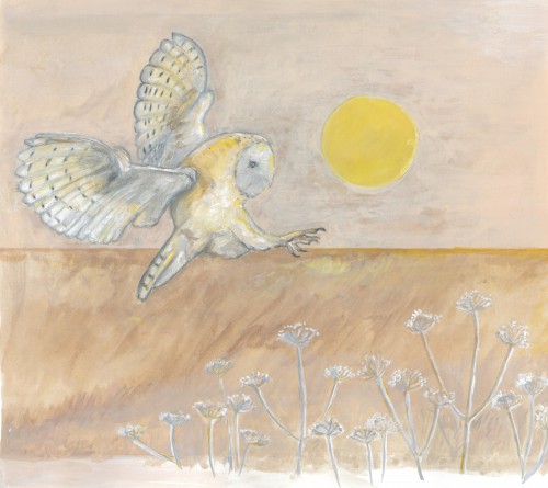 Kerkuil 3 © Tanja Koelemij