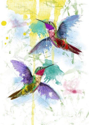 Kolibri © De Beeldmeester