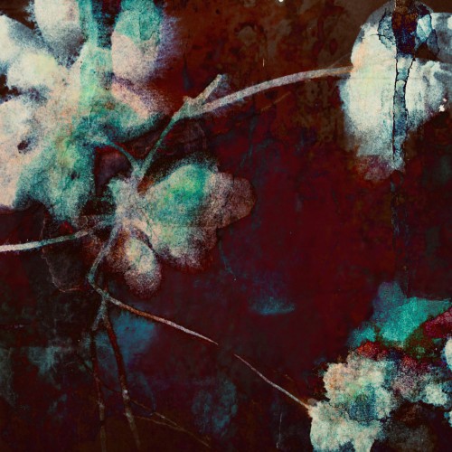 Liquid bloom © RAR Kramer