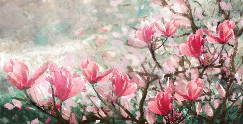 Magnolia Field © Sander van Laar