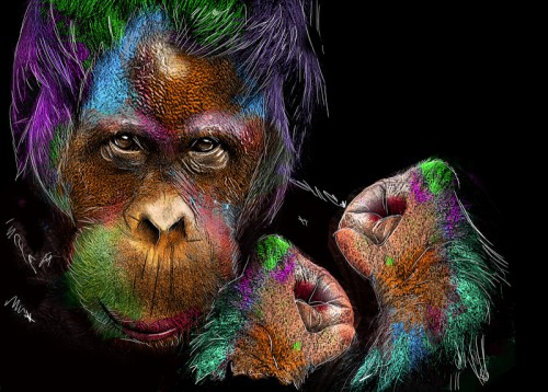 Monkeyfight © De Beeldmeester