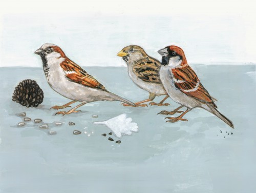 Mussen © Tanja Koelemij