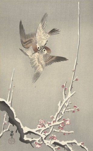 Mussen en besneeuwde pruimenboom, Ohara Koson, 1900 - 1936