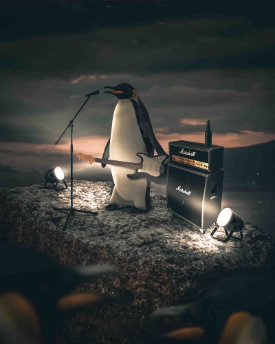Penguin Rockstar © Zenzdesign