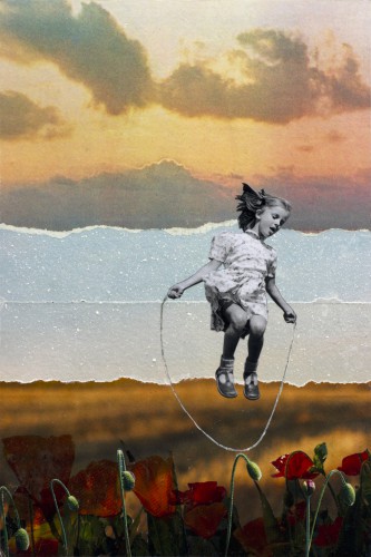 POPPIES © db Waterman