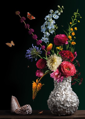 Royal Balthasar van der Ast © Sander van Laar