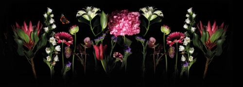 Royal Flower © Sander van Laar